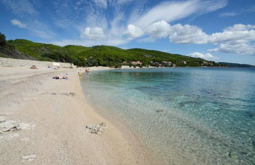 Apartment Vila Grscica - Photo 24