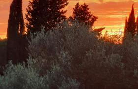 Podere Il Cerrone app Romilda con piscina - Foto 43