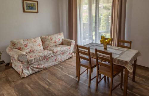 APARTAMENTY ZAZAMCZE - Foto 9