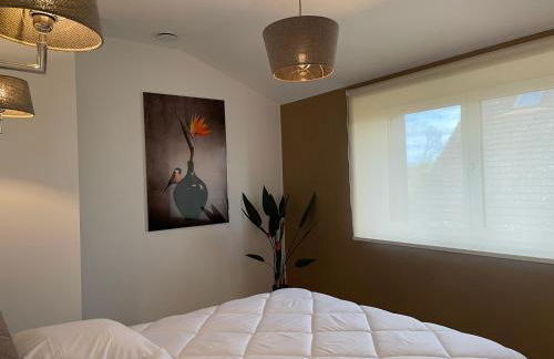 Les gites du champ des oiseaux - Foto 50