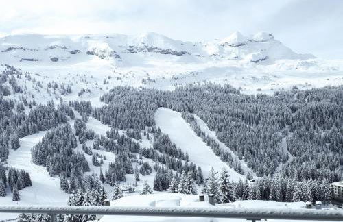 Penthouse 3-bedroom apartment, mountain views, large terrasse, piste access - Photo 71