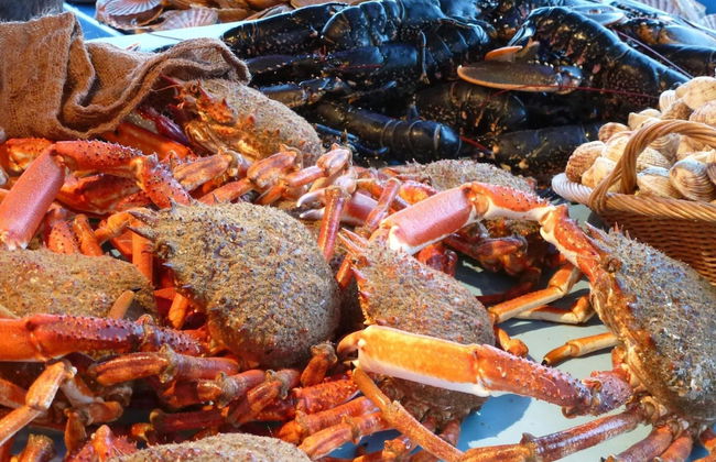 Holiday Home in Fycamp for 2 Person - Foto 10