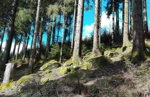 Ferienwohnung Bienenherz - Foto 22