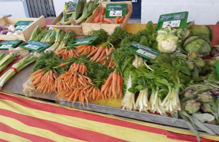 Pyrenees,Hiking, Cycling, Rafting,Fishing,4 Bed Apartment, Roof Terrace - Foto 20