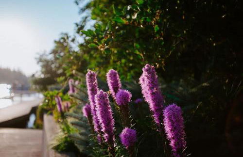 Timeless Modern Luxury at Bellerive on the River - Photo 41