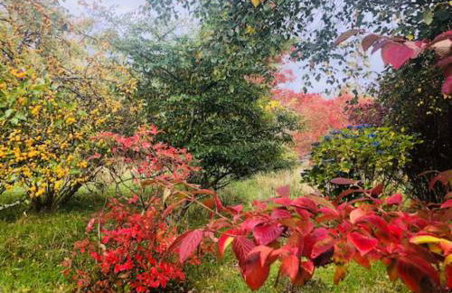 Home Comforts in Peaceful 2 Acres - Photo 50