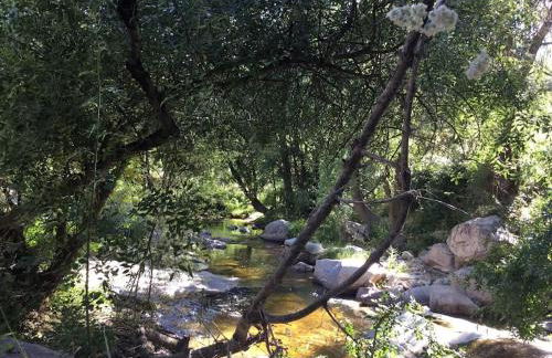 La casita Del Río. - Foto 31