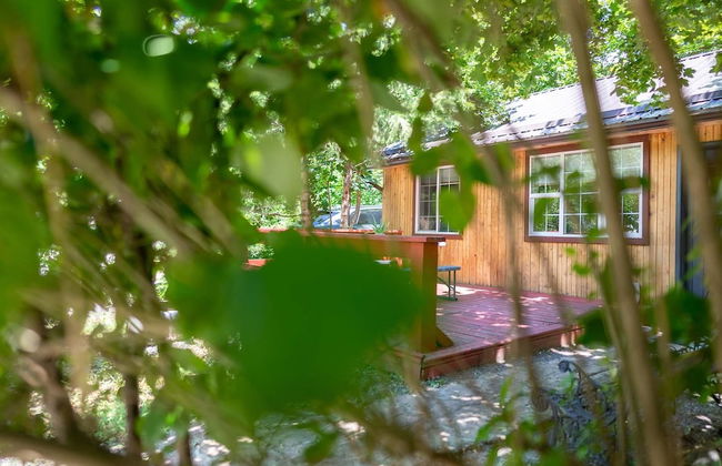 Barefoot Villas Cabin 1 Beaver w/ Hot tub - Photo 58