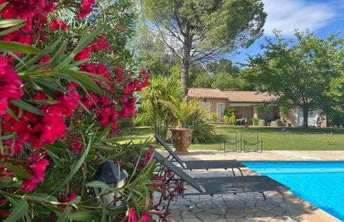 Les Muscades - Foto 10