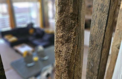 La suite des fouleries - Foto 17