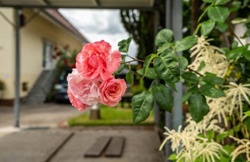 Gästehaus Retsch - Foto 8