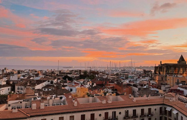 Ultimate Palma Tour: Historic Highlights Palaces, Gardens & Cathedral Tour - Foto 10