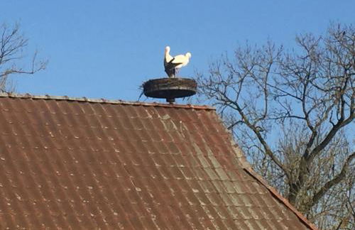 Remise unter dem Storchennest - Foto 35