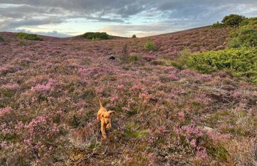 Migdale Heights - Luxury Cabins in The Highlands - Foto 36