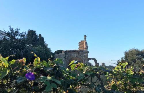 Bouganville in Villa Greco - Foto 58