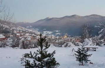 Kuća za odmor Dangubica - Photo 35