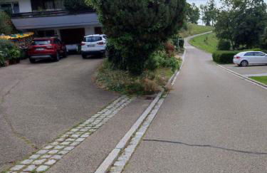 Feldbergsicht - Foto 8