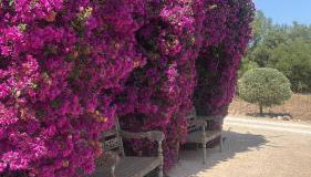 Finca El Idilio - Foto 4