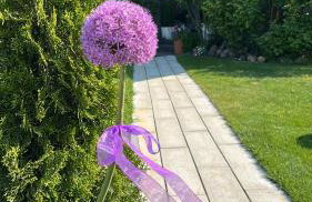 Apartament Różany - Foto 10