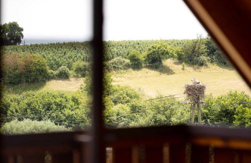 Weingut Geiger - Foto 24