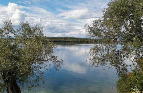 Saint Andrews Bay - Foto 36