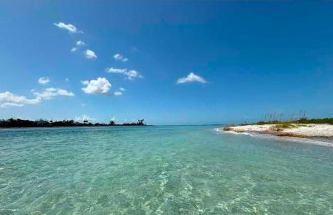 Blue Paradise - Foto 5