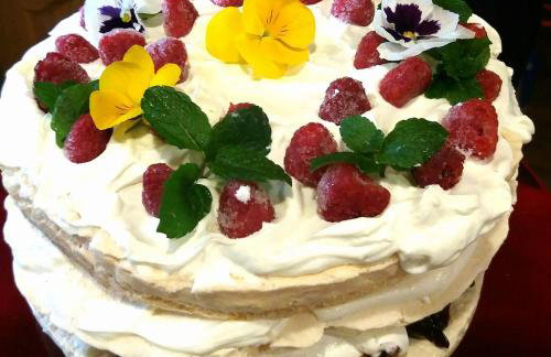 Miętowy Anioł - Foto 63