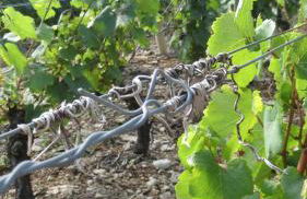 La Maison du Clos du Roi - Foto 60