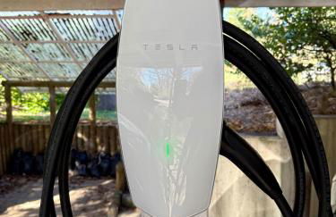 FeWo am See - Foto 28