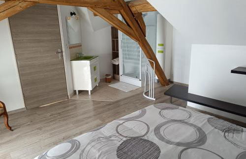 gite de la grand maison les chênes - Photo 7