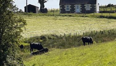 Williamsfield Cottage - Foto 2