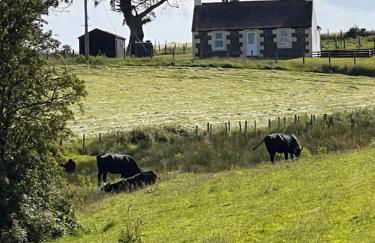 Williamsfield Cottage - Foto 2