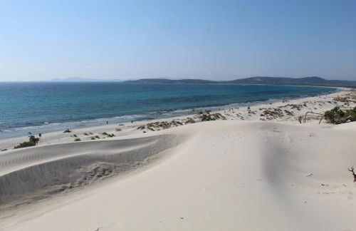 tommy house - Foto 45