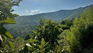 Le Casette di Alice - Foto 4