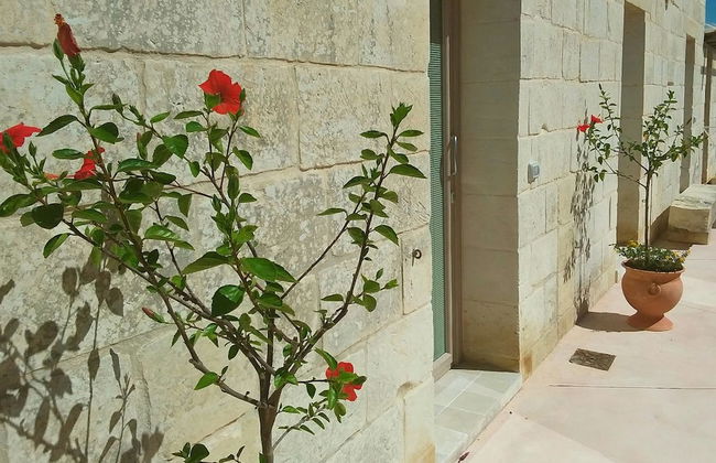 La Trottoria - Photo 32