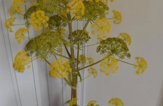 Casa Mazzara - Foto 14