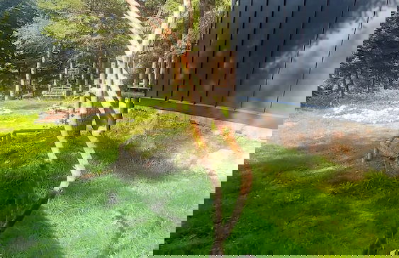 Tumba Sisli Vadi - Foto 66