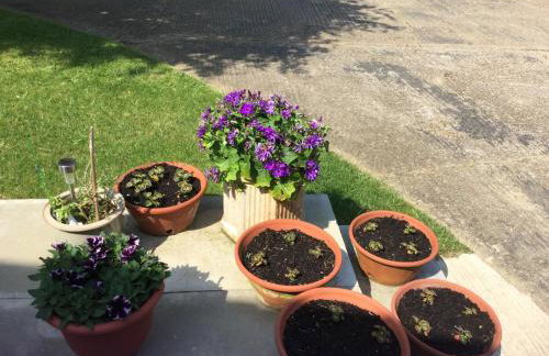 Eight ball house - Foto 13