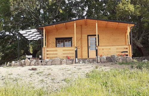 Eco Lodge nella natura Con Piscina privata "La Grande Quercia" - Foto 55