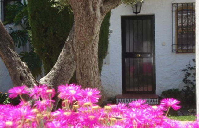 El Capistrano Sur - Foto 67