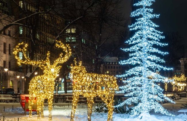 Tour navideño por Helsinki - Foto 1