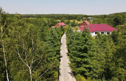 Agro na Wapniarni - Foto 75