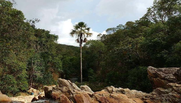 Paisagens da cachoeira do Coqueiro