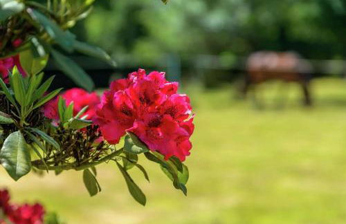 Villa spacieuse à Concarneau avec piscine privée - Photo 36