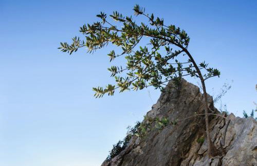 Villa Palloma - Foto 114