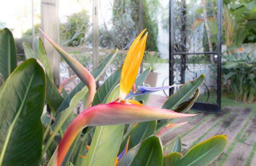 Satywizus #22- Duplex panoramic sea view 2Bdr, AC, swimpool, parking, petanque - Photo 38