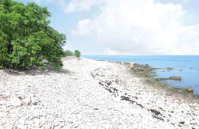 4 Person Holiday Home in Bastad - Photo 14