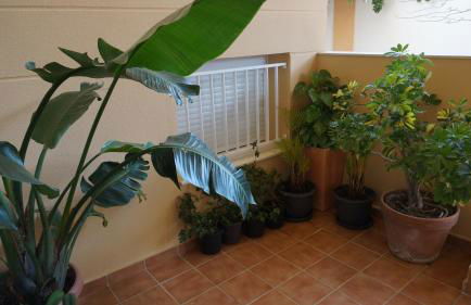 BASTINAZO ALOHADREAM - PREMIUM - Dúplex Lujo Recién Reformado con Jardín, Piscina, Parking, Aire Acondicionado - Los Caños de Meca - 50m playa - Photo 43