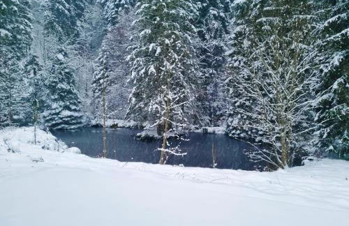 Somewhere Elz - Luxus Chalet für bis zu 38 Gäste - Foto 30