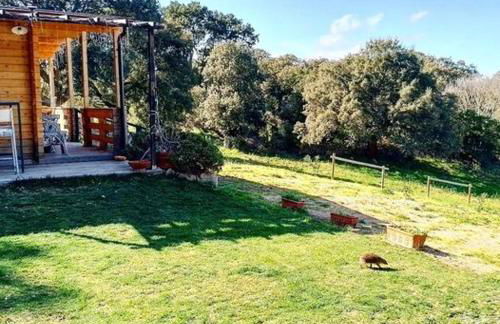 Eco Lodge nella natura Con Piscina privata "La Grande Quercia" - Foto 16